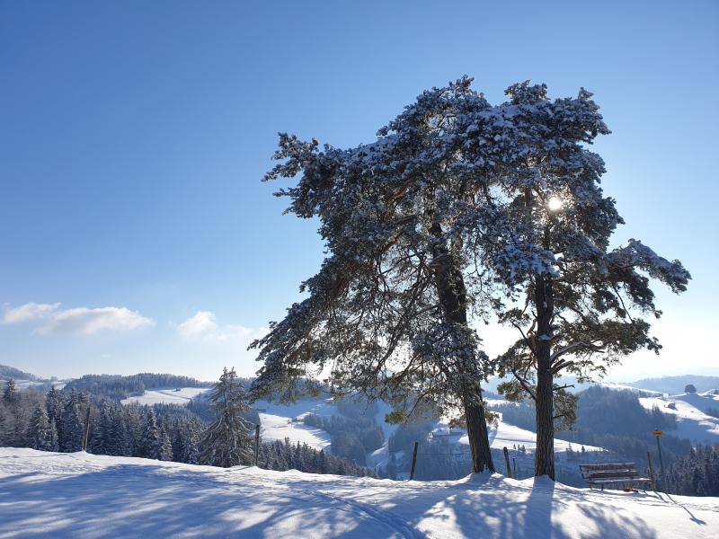 Aktivitäten & Natur