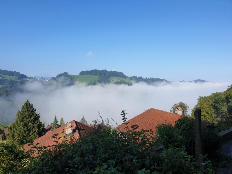 Fernsicht & Umgebung