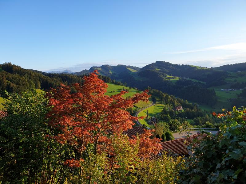 Fernsicht & Umgebung