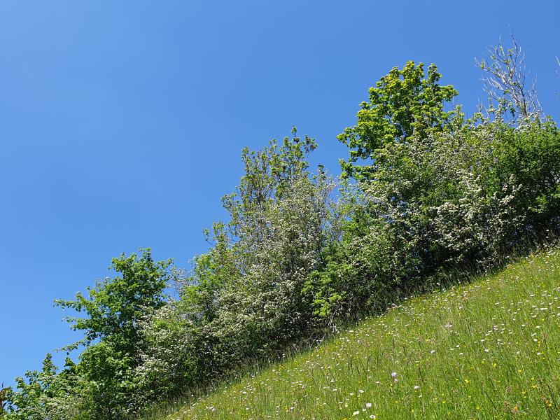 Fernsicht & Umgebung