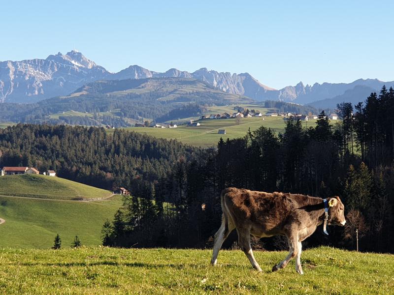 Fernsicht & Umgebung